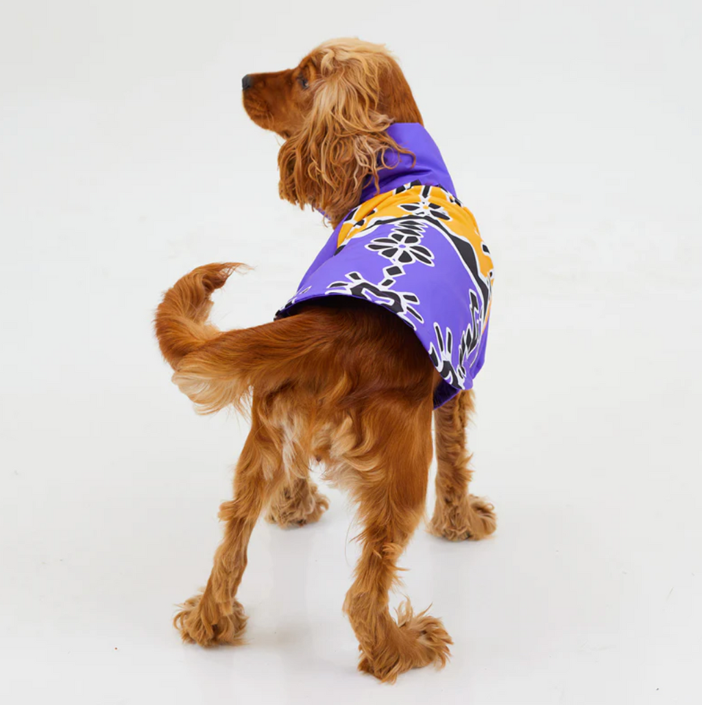 RainWoof Regenjacke-3