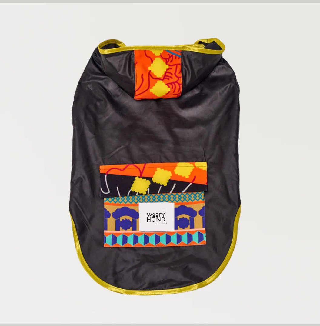 Fiesta Poncho-1