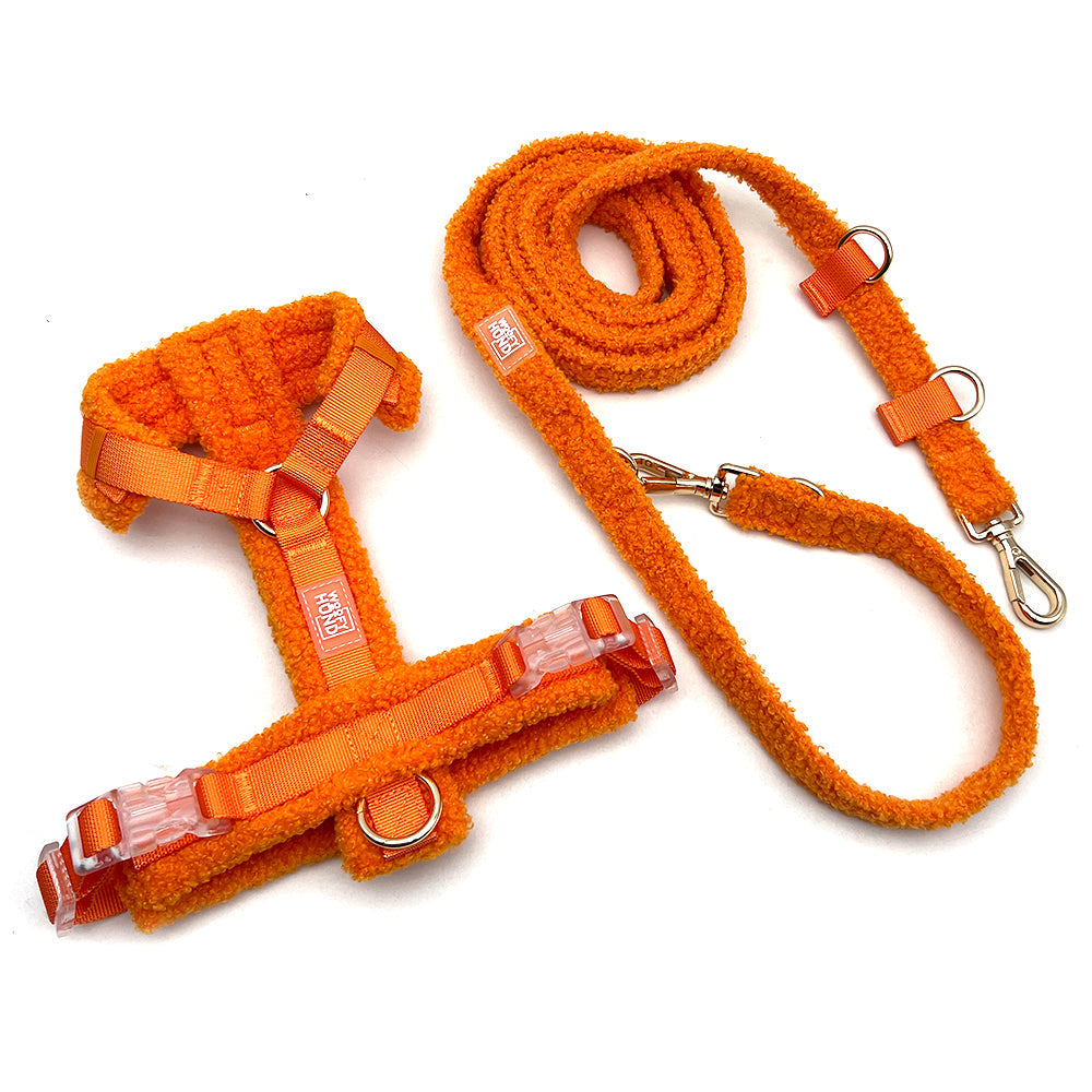 Hundegeschirr-Set Teddy Orange-4