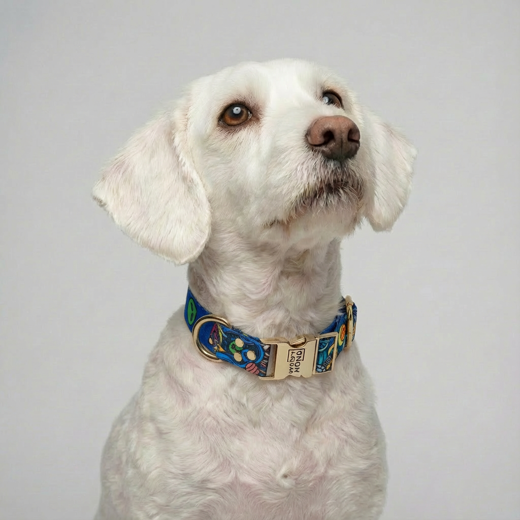 Hundehalsband „Galaxy“