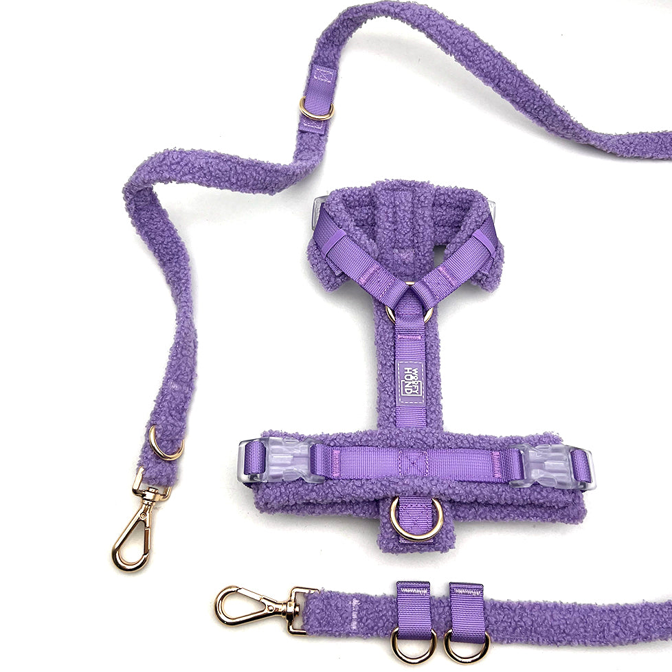 Hundegeschirr-Set Teddy Violett-2