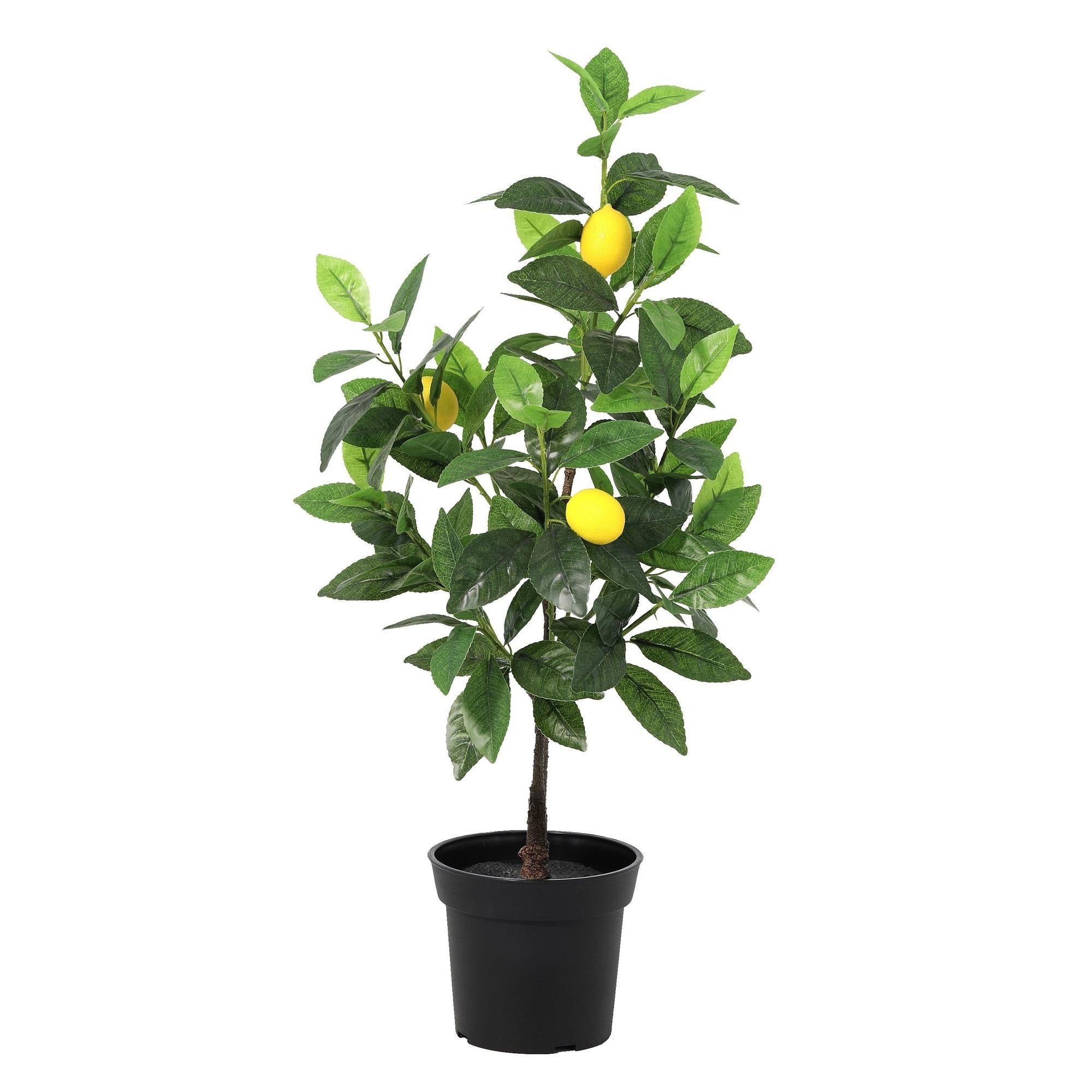 Kunstpflanze Zitronenbaum 65cm – künstlicher Lemon Tree – realistische Blätter & Zitronenoptik-0