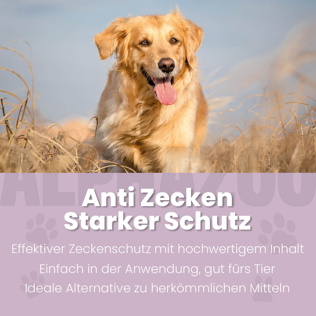 ZeckAttack Zeckenspray für Hunde-2