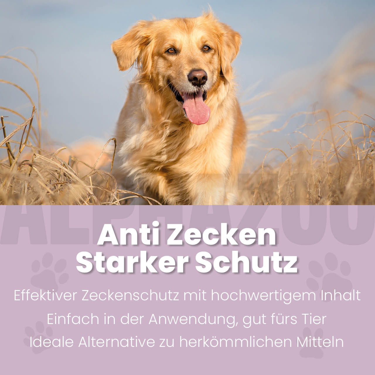 ZeckAttack Zeckenspray für Hunde-2