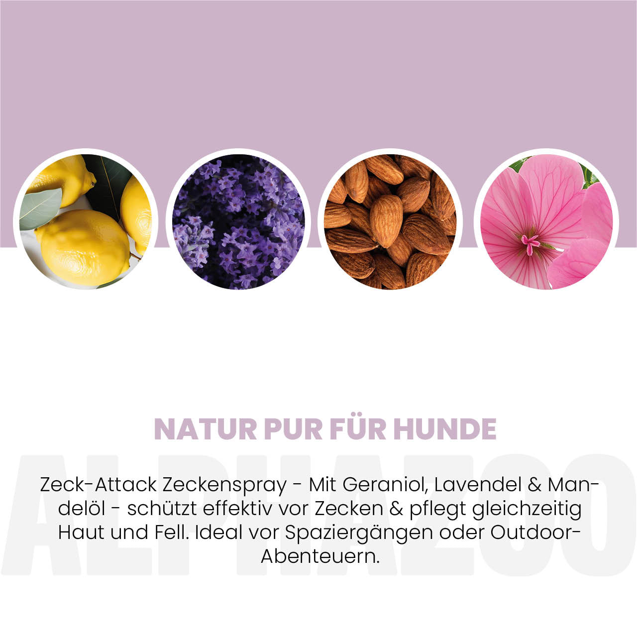 ZeckAttack Zeckenspray für Hunde-4